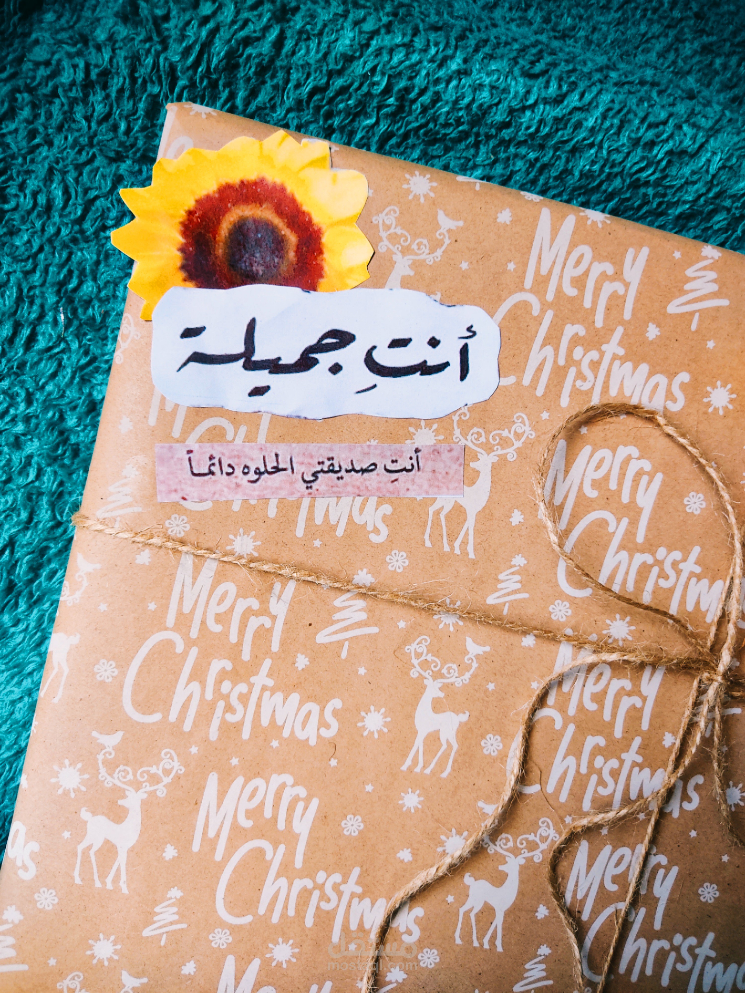 الوادي الجديد الخارجه