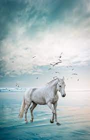 الخيل