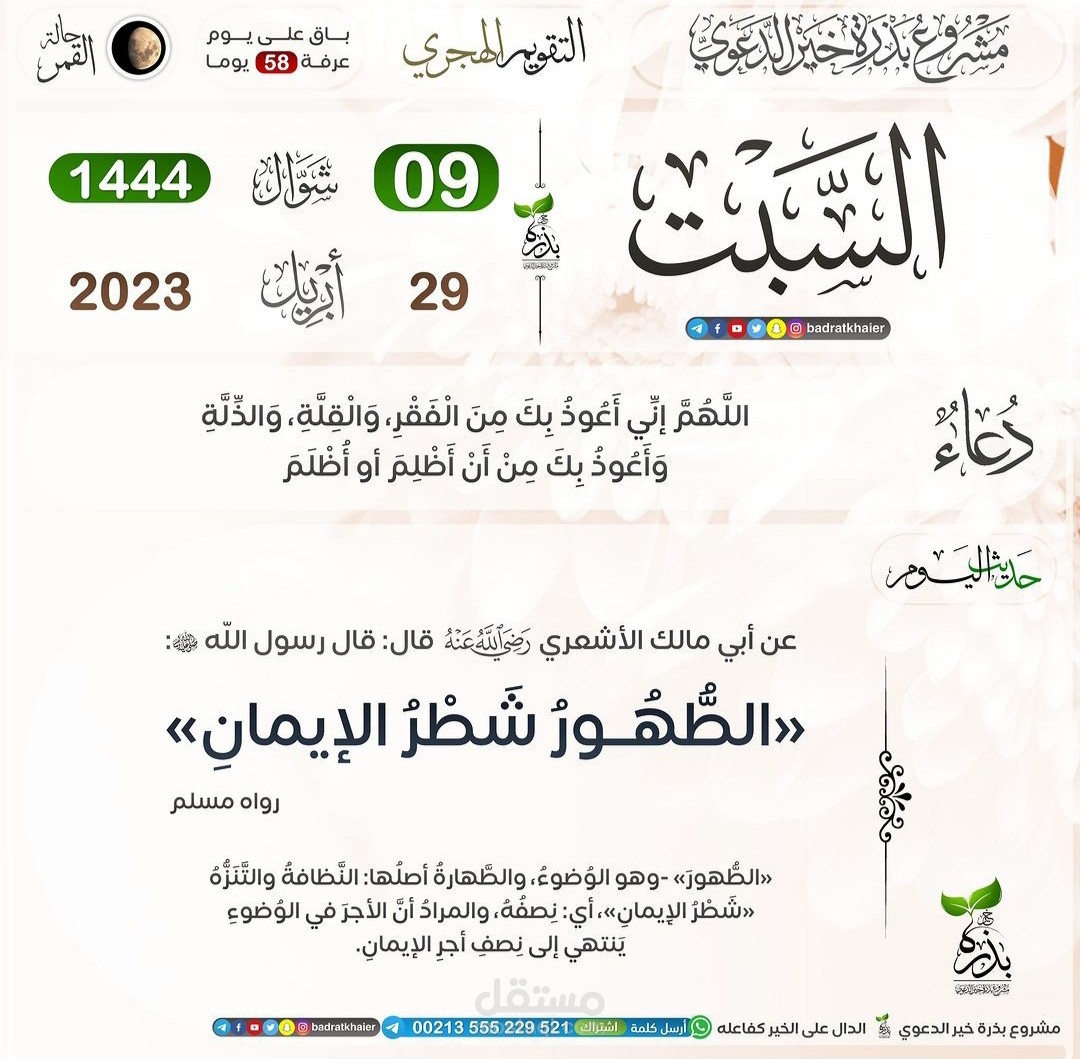 ترجمة و كتابة مقالات