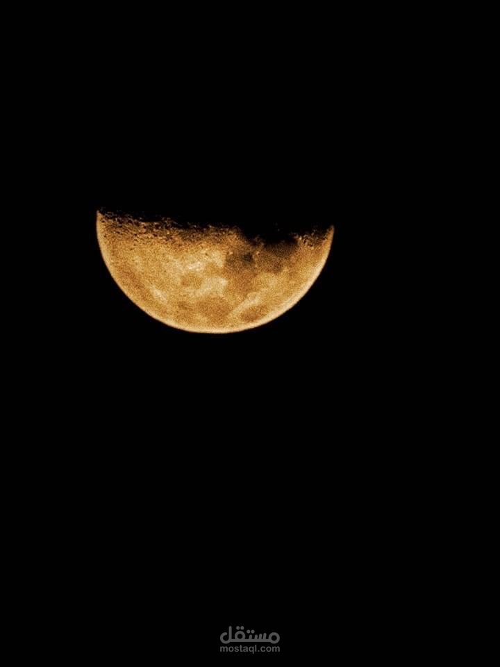 تصاميم كاب كات