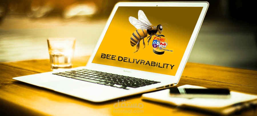 إستشاري في مجال الدلوقتية (deliverability)