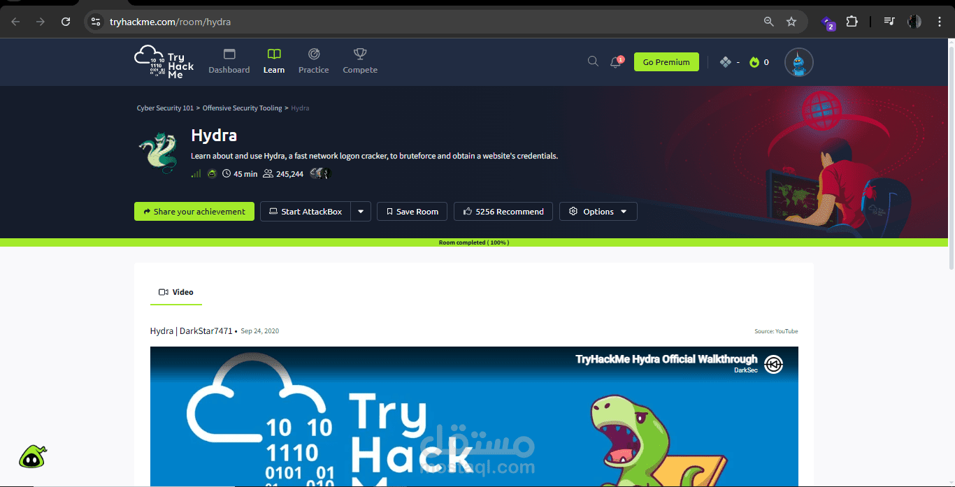 network penetration testing