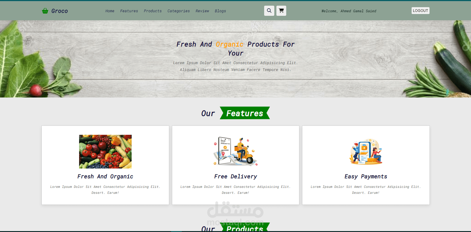 تطوير متجر الكترونى