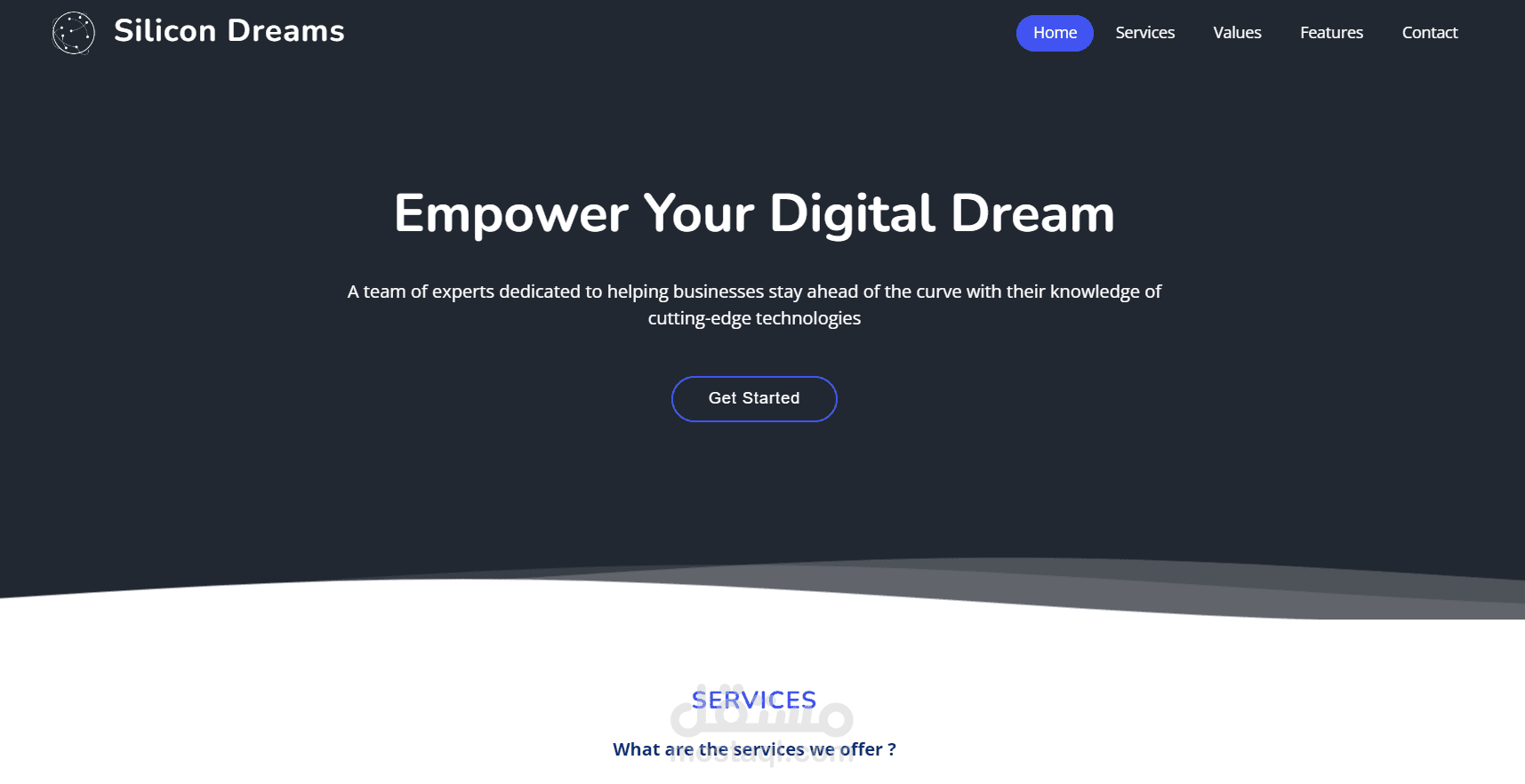 Silicon Dreams