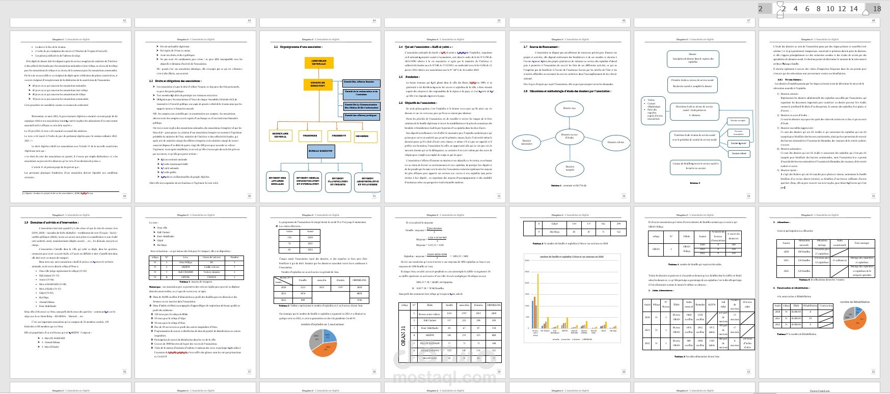 كتابة مقال عن أثر الجمعيات الخيرية في تنمية المجتمع بإعتماد Ms Word و البيانات الإحصائية على Excel