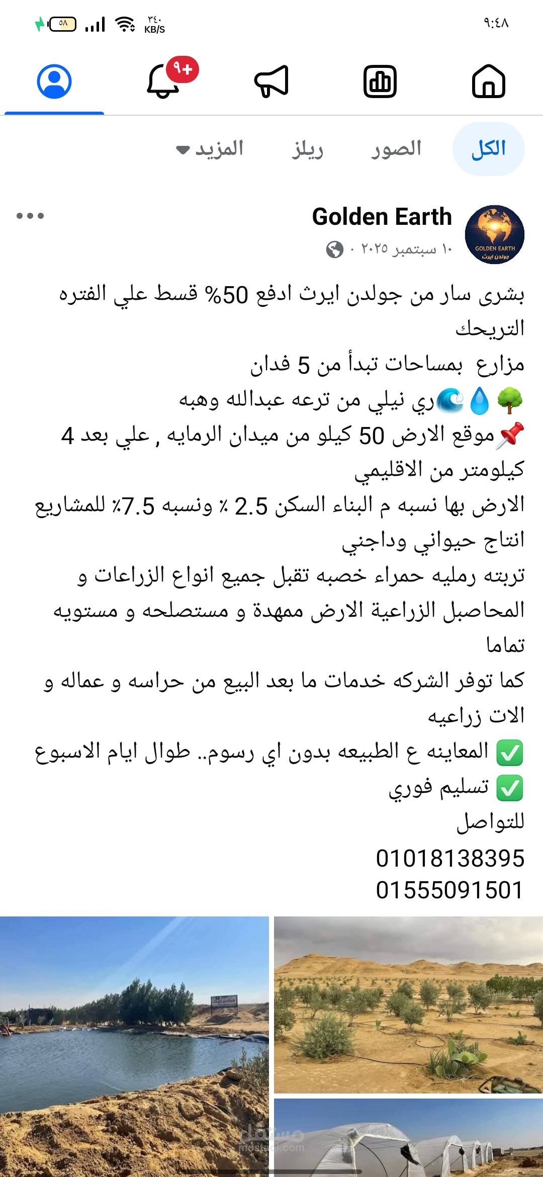 كتابة محتوى إعلاني لشركة استثمار عقاري وزراعي ?️?