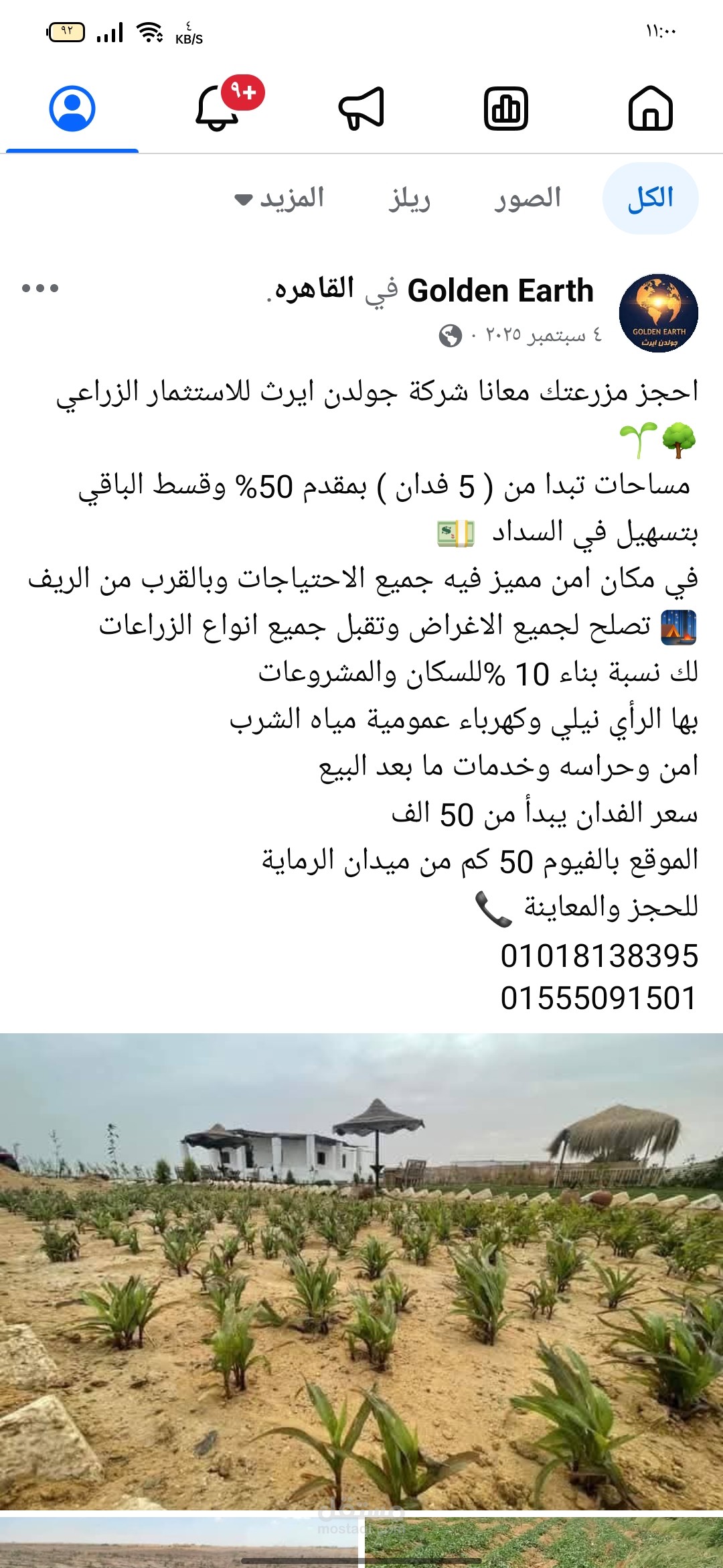 كتابة محتوى تسويقي متكامل لشركة استثمار زراعي (جولدن ايرث)"
