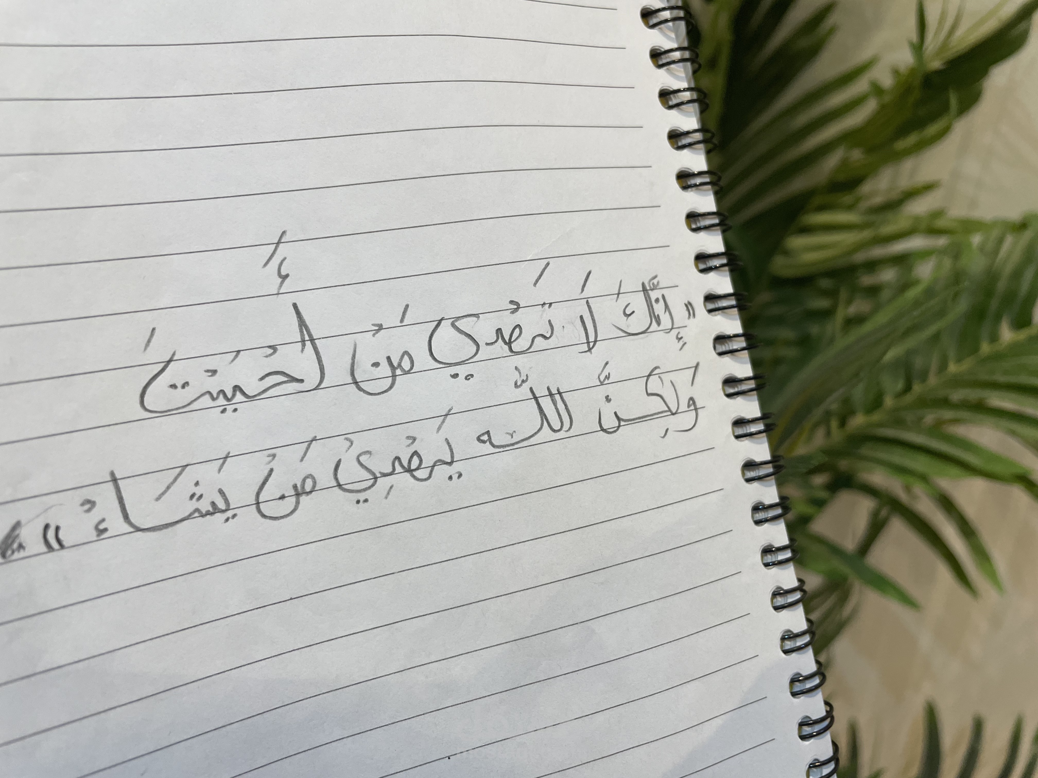 (إنك لا تهدي من أحببت)