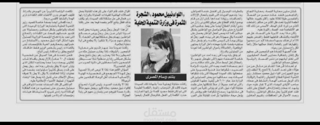 مقال رأي بعنوان: اللواء نبيل محمود الشجرة المثمرة في وزارة التنمية المحلية