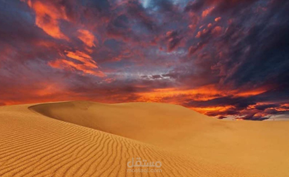 الثروات العربية