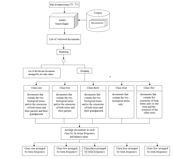 Computational Determination of the Effects of Virulent Escherichia coli and Salmonella Bacteriophages on Human Gut