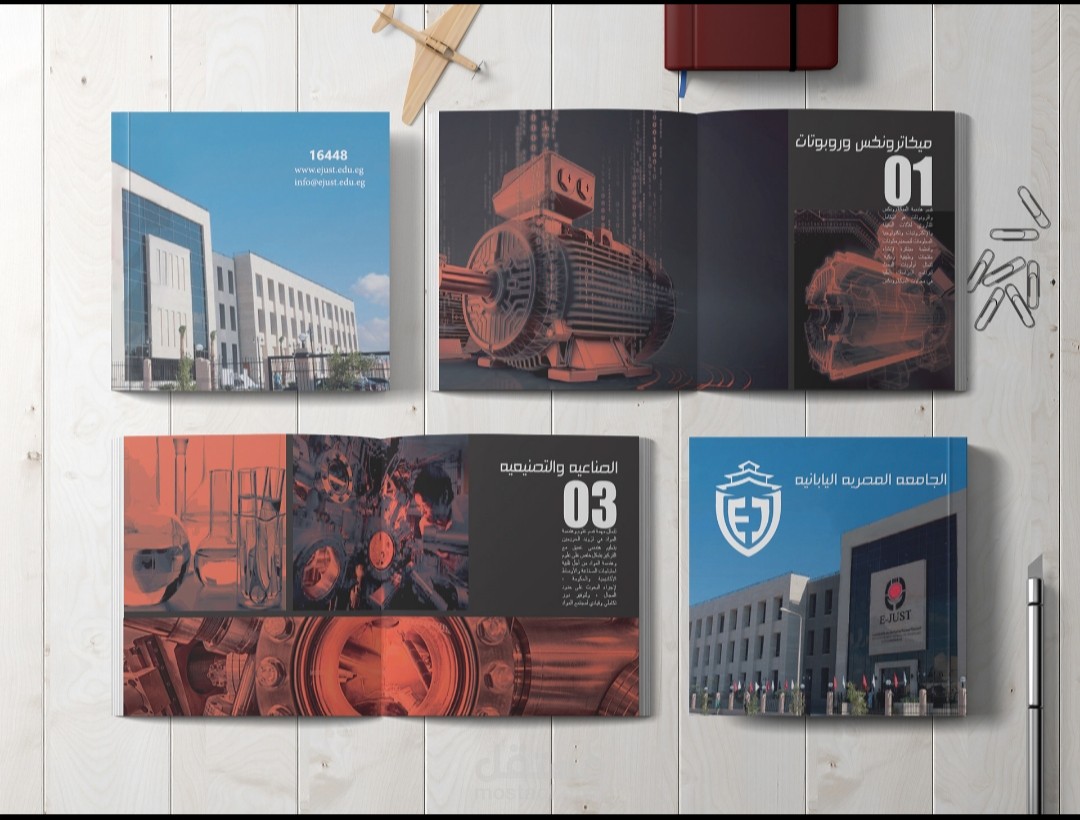 Egypt Japan university brochure