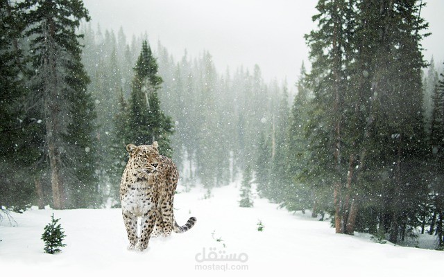 Animals threatened with extinction by the end of 2030