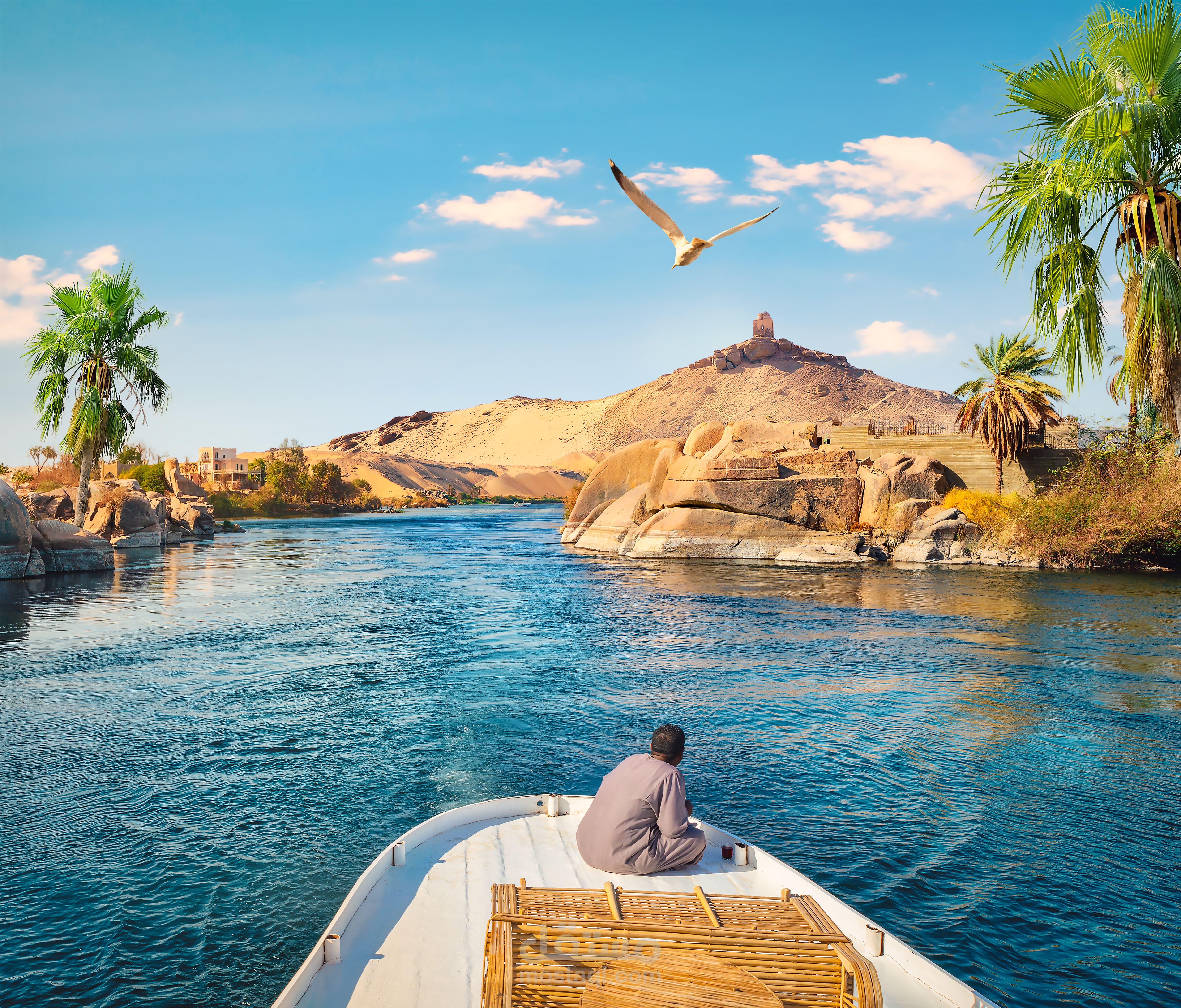 مدونة عن مصر