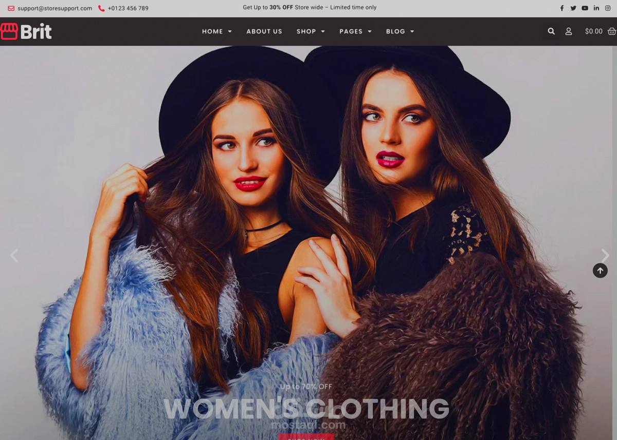 تصميم متجر إلكتروني (online store)مثل (salla&Zed&Wix&Oodo&shopfy)