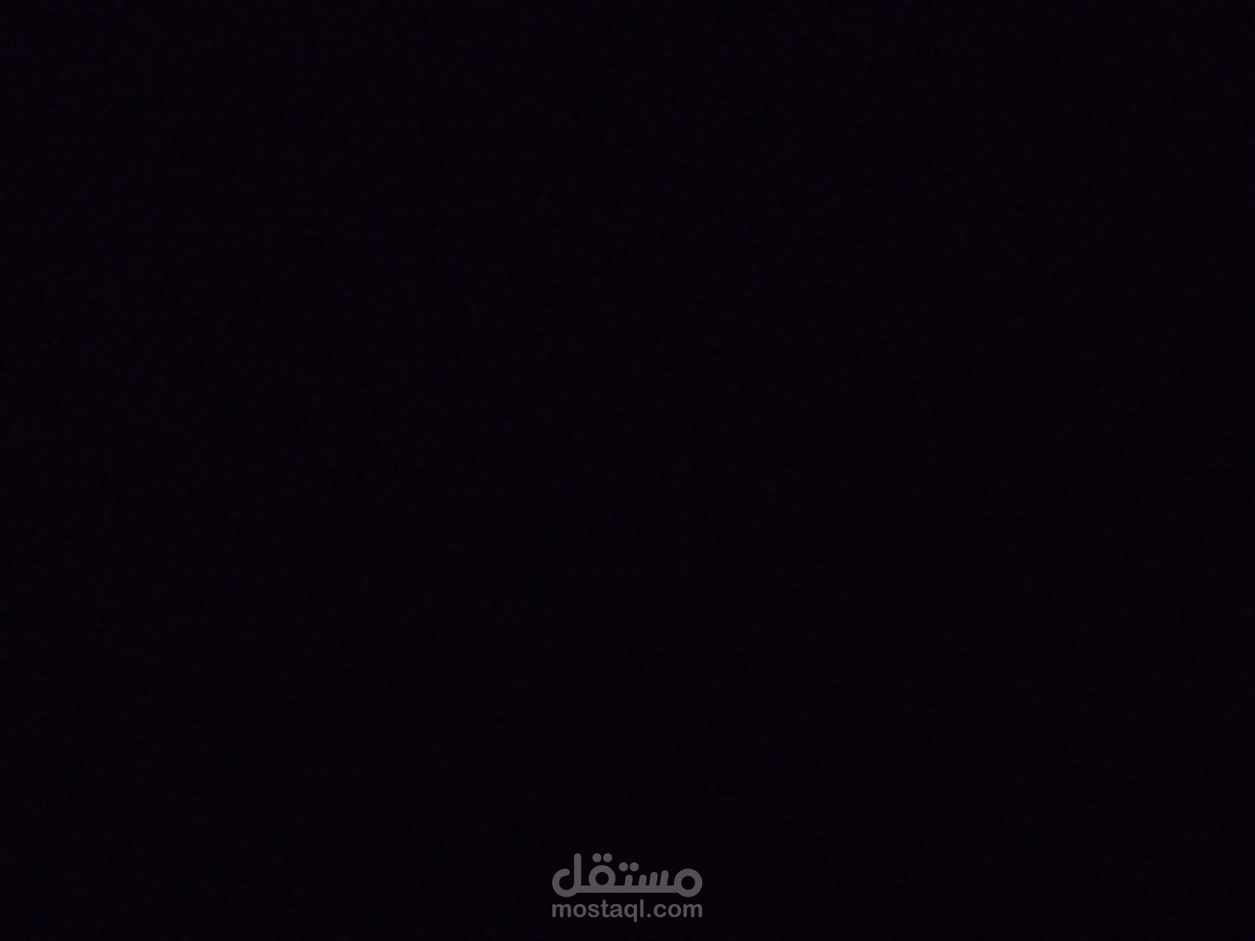 مسوق إليكتروني