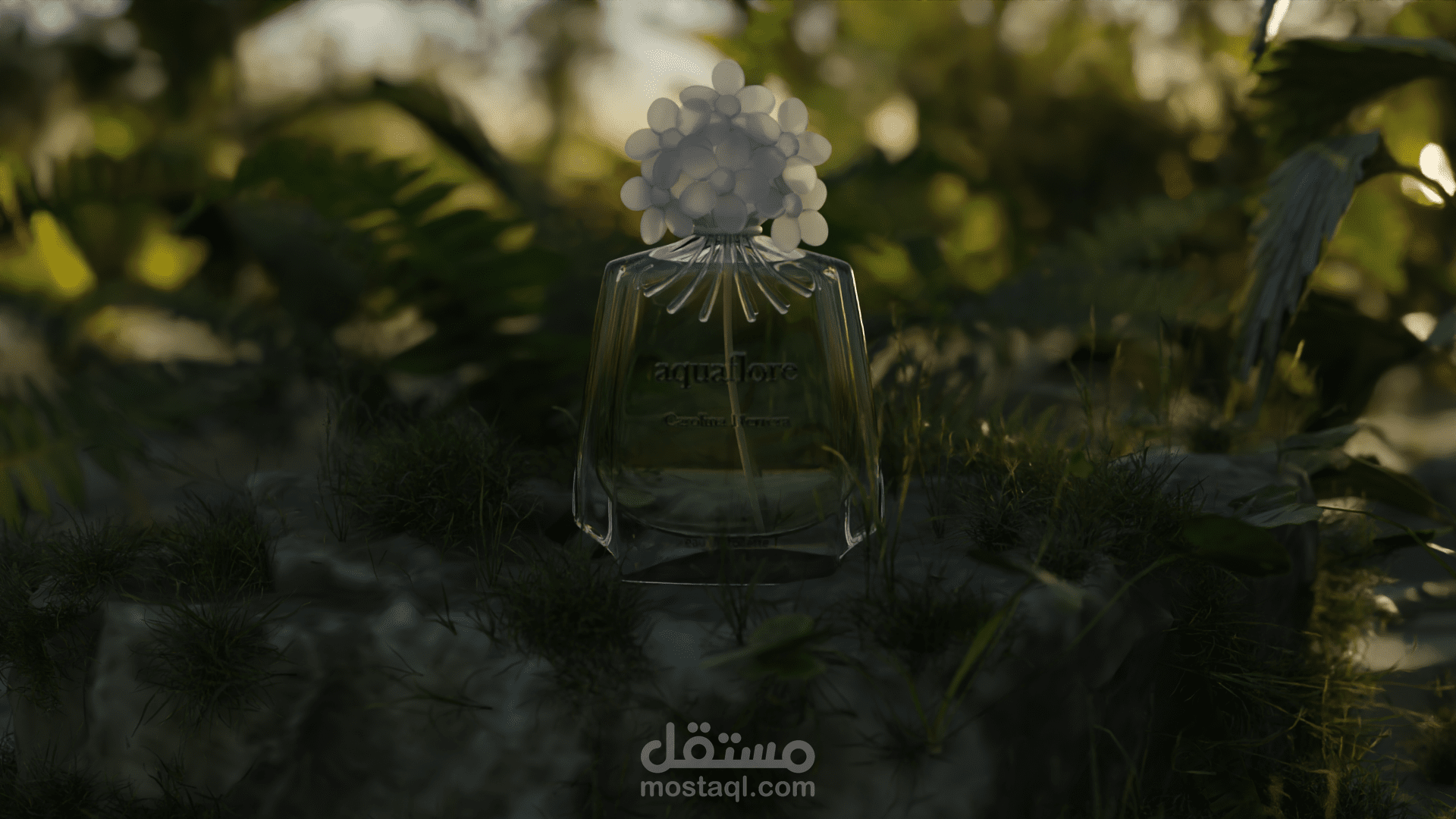 فيديواشهاري لمنتوج