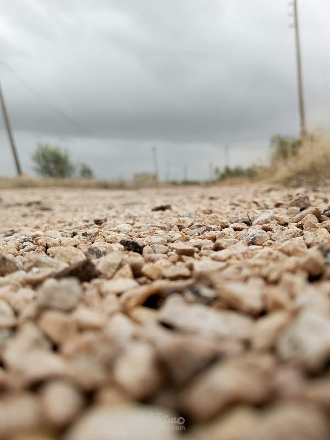 فن تصوير المناظر الطبيعيه