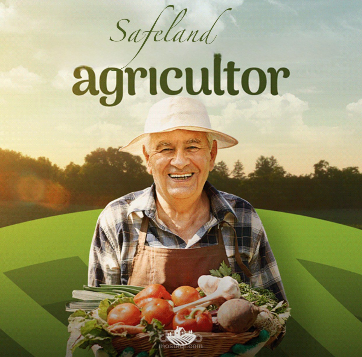 Safeland logo & brand identity