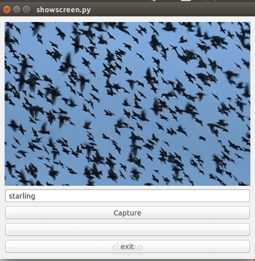 تطبيقة للتعرف على تمييز طيور الزرزور (Starling )  عن الطيور الأخرى