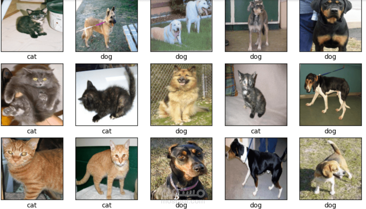 Animal type detection