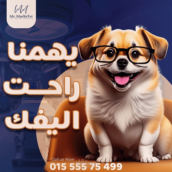 تصاميم لعيادات بيطرية