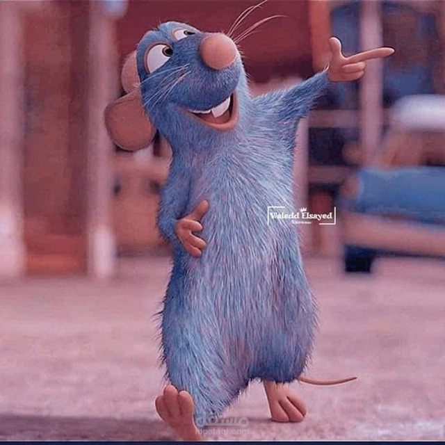 مترجم قانوني