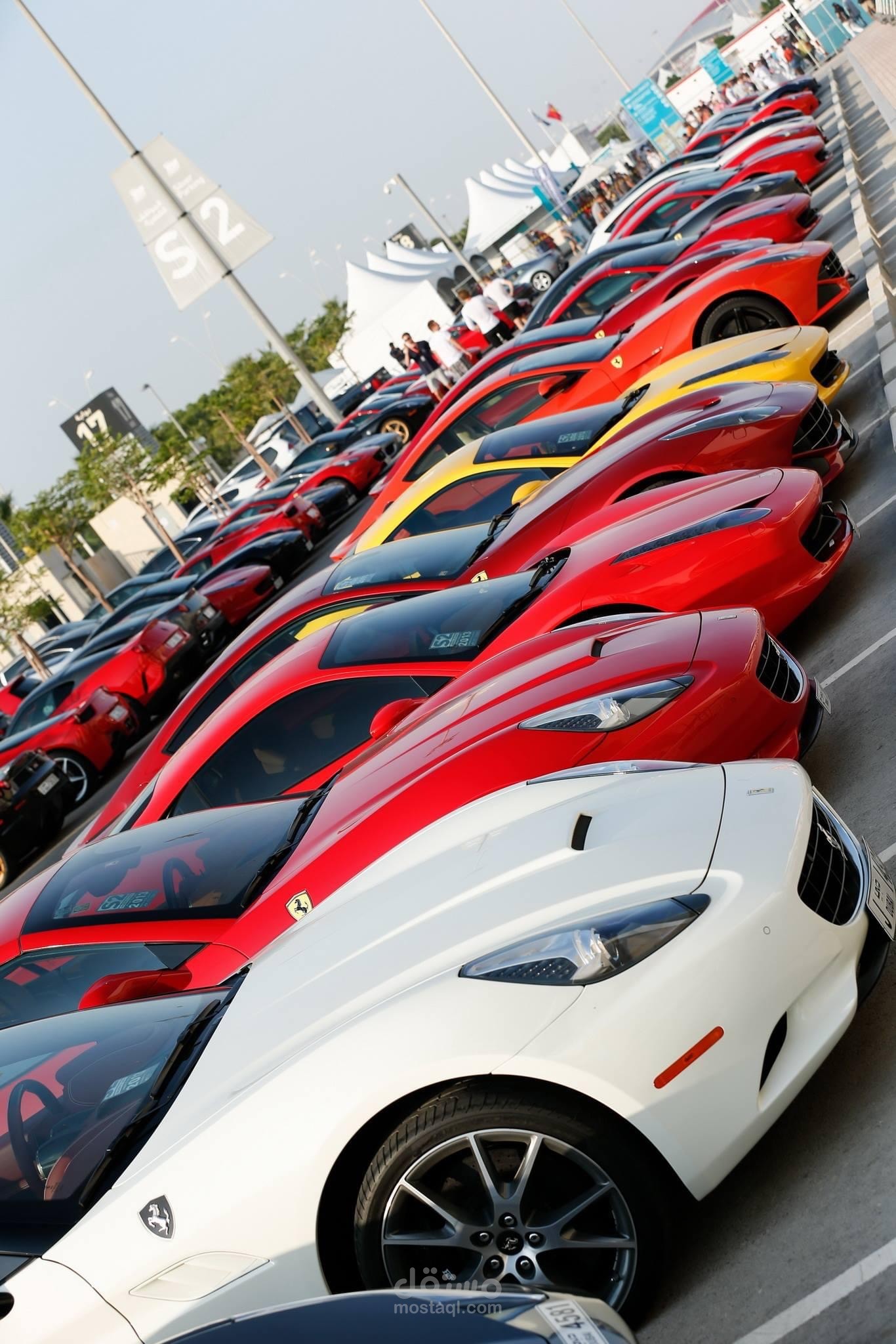 Exotics