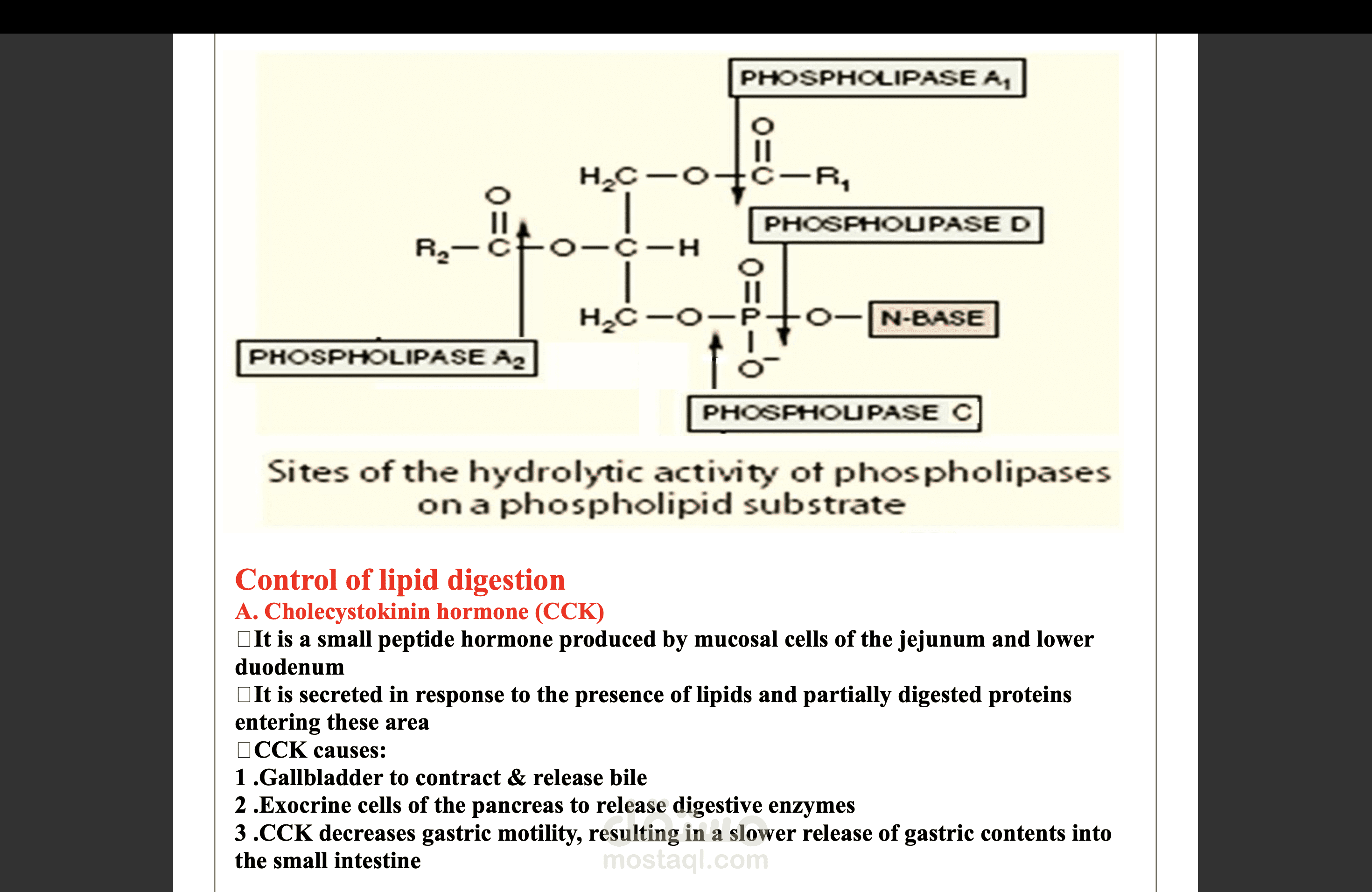 book for biochemistry