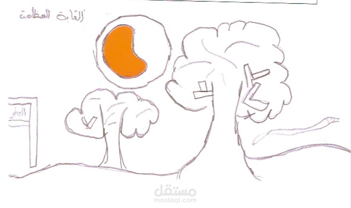 تصحيح اختبارات تورانس الشكلية وتحليل البيانات