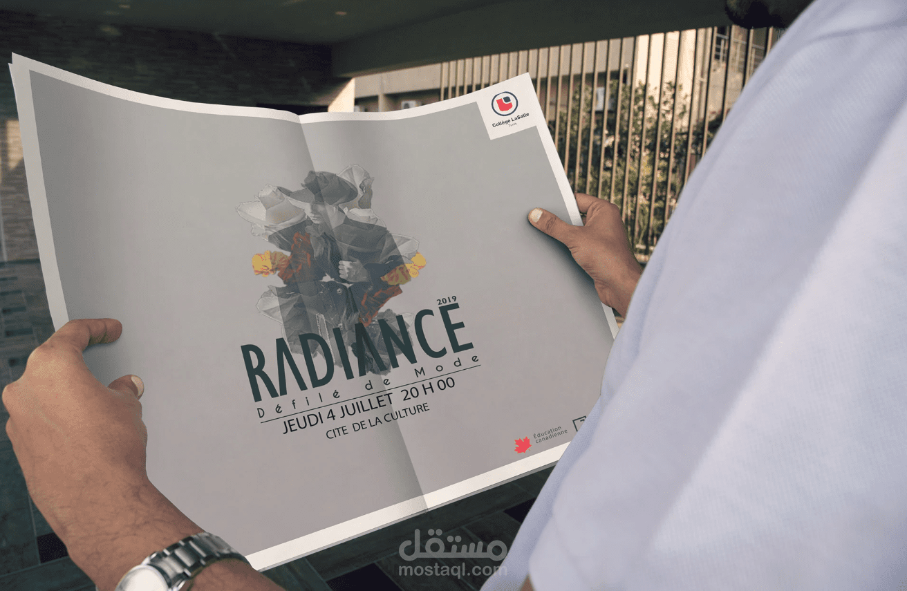 I will design a company logo and a branding kit or guidelines for the brand identity.