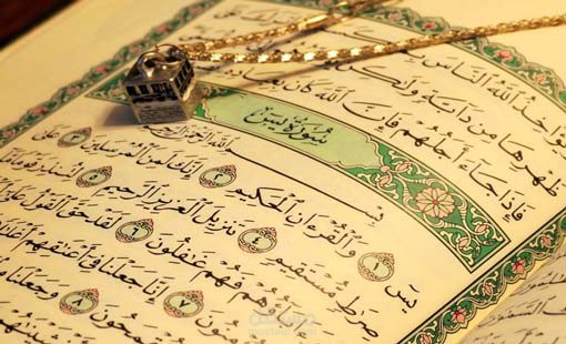 مدينه السادات محافظه المنوفيه