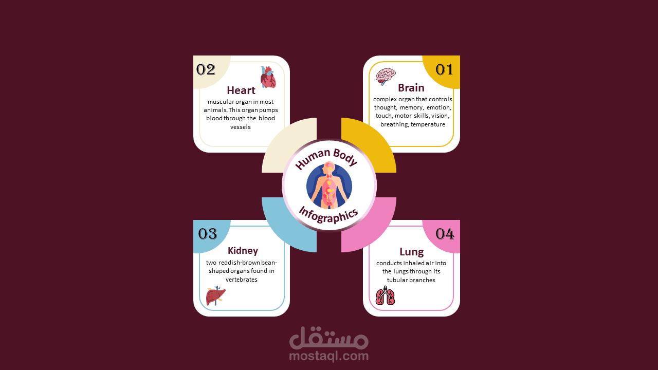 عرض تقديمي إنفوجرافيك