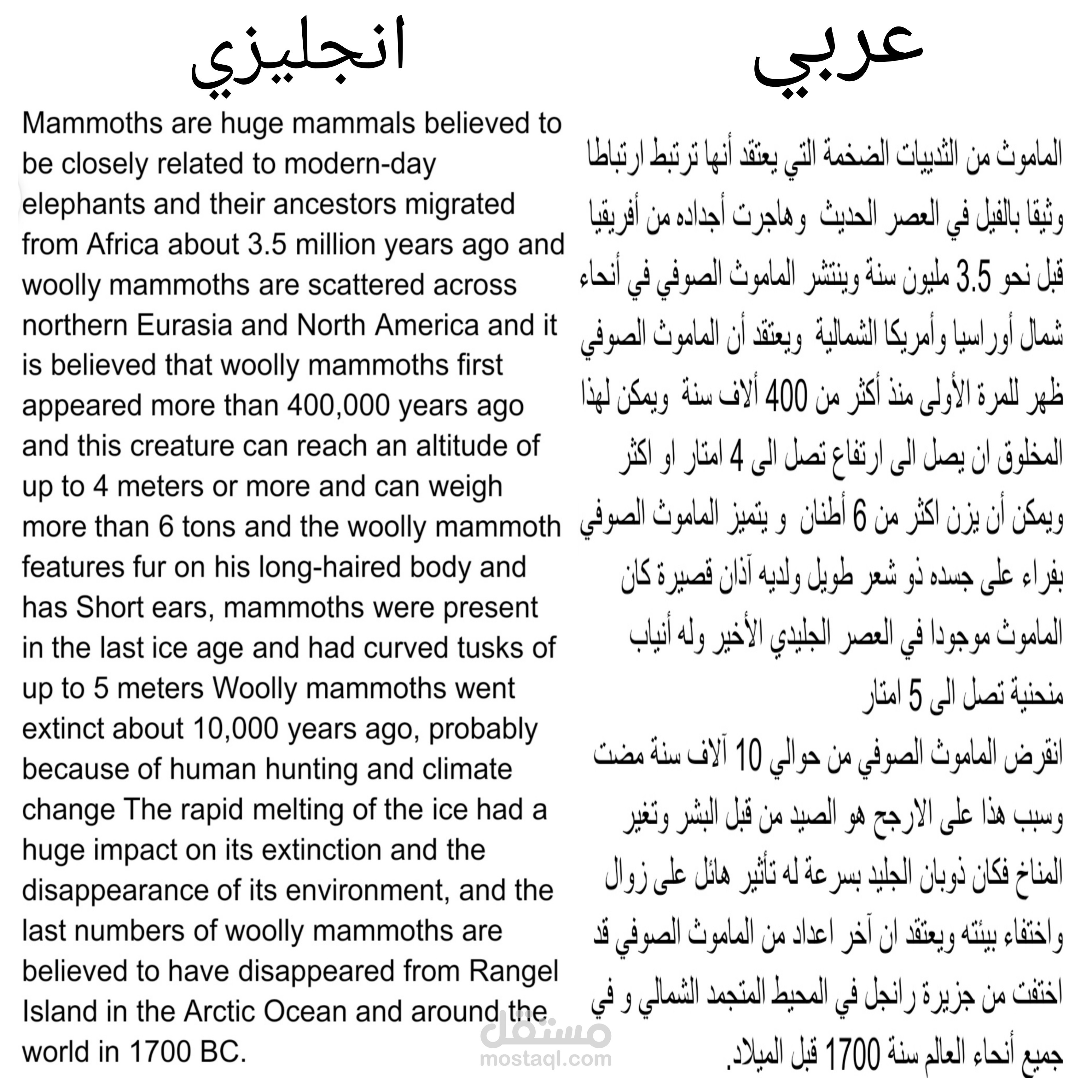 مقال شيق حول الماموث، ذلك الكائن العملاق الذي جاب الأرض خلال العصور الجليدية.
