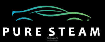 بيور ستيم للعناية بالسيارات