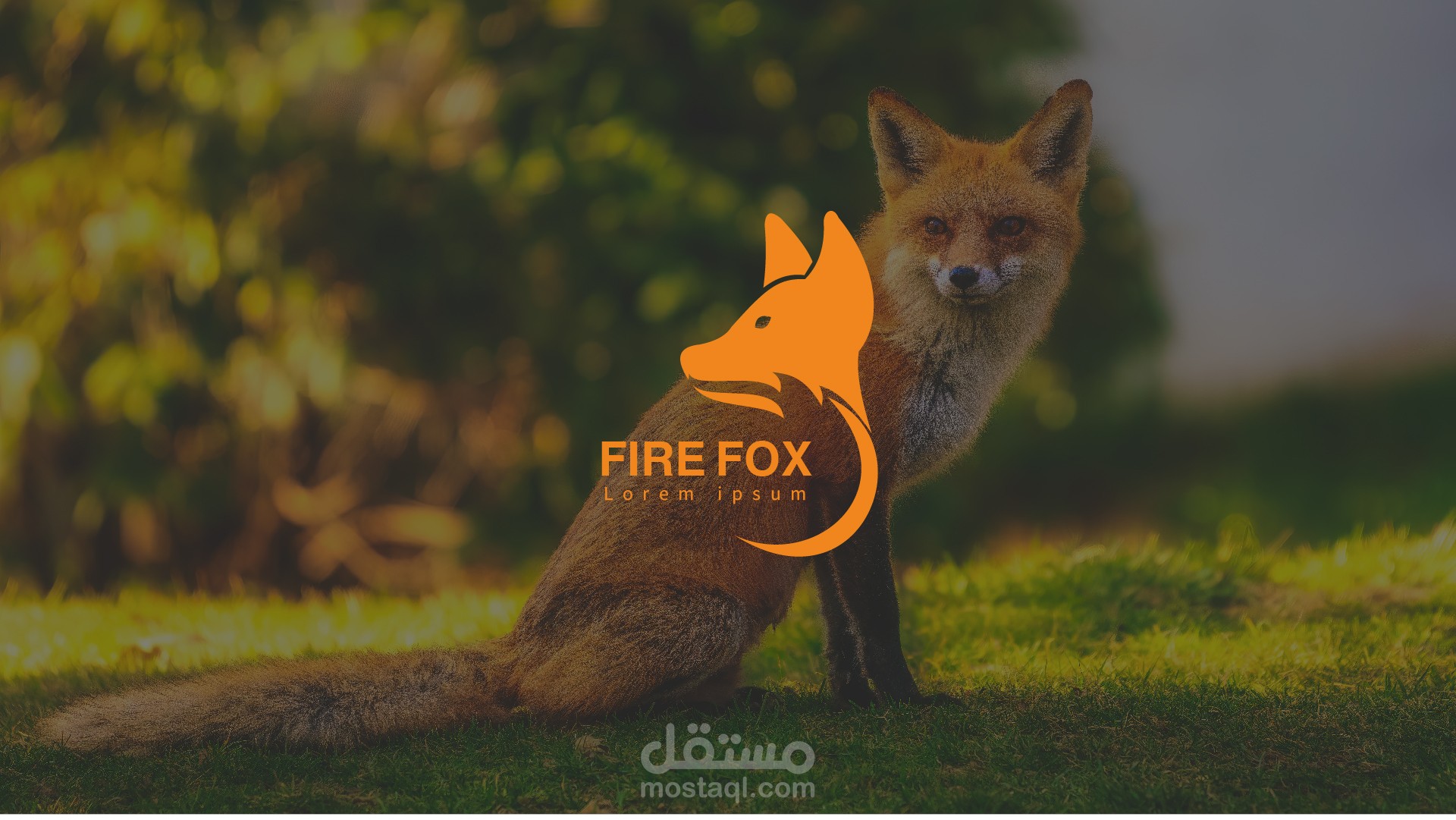 تصميم هوية بصرية FIRE FOX