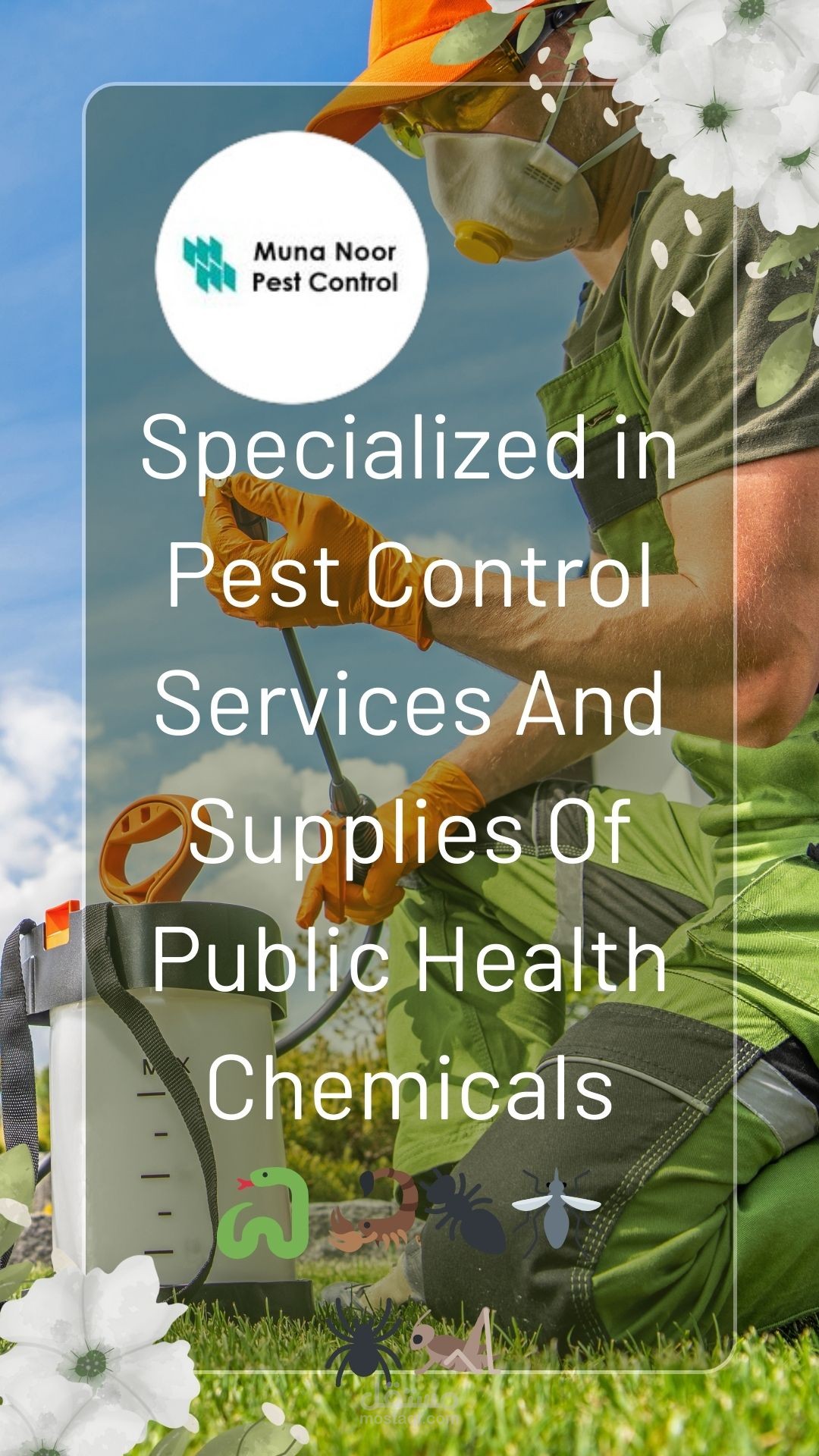 فيديو دعائي لشركة مكافحة حشرات