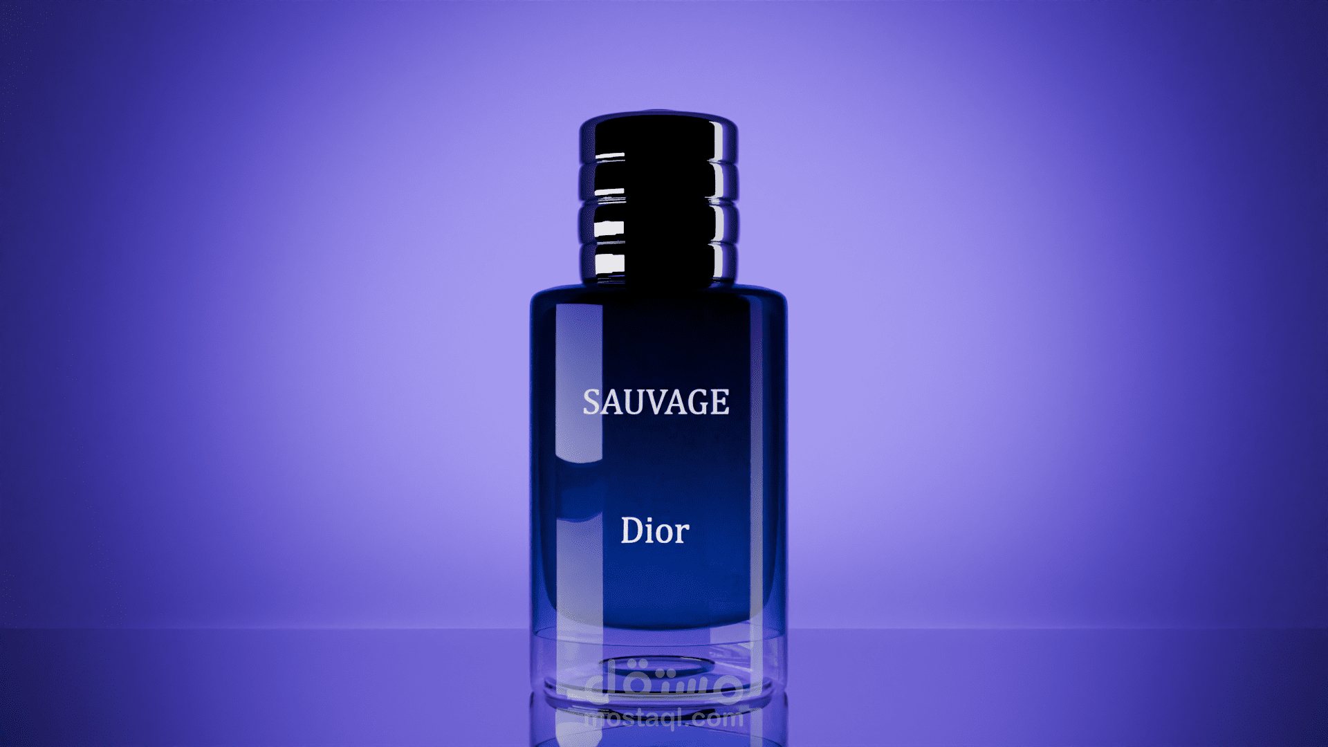 savage Dior 3d