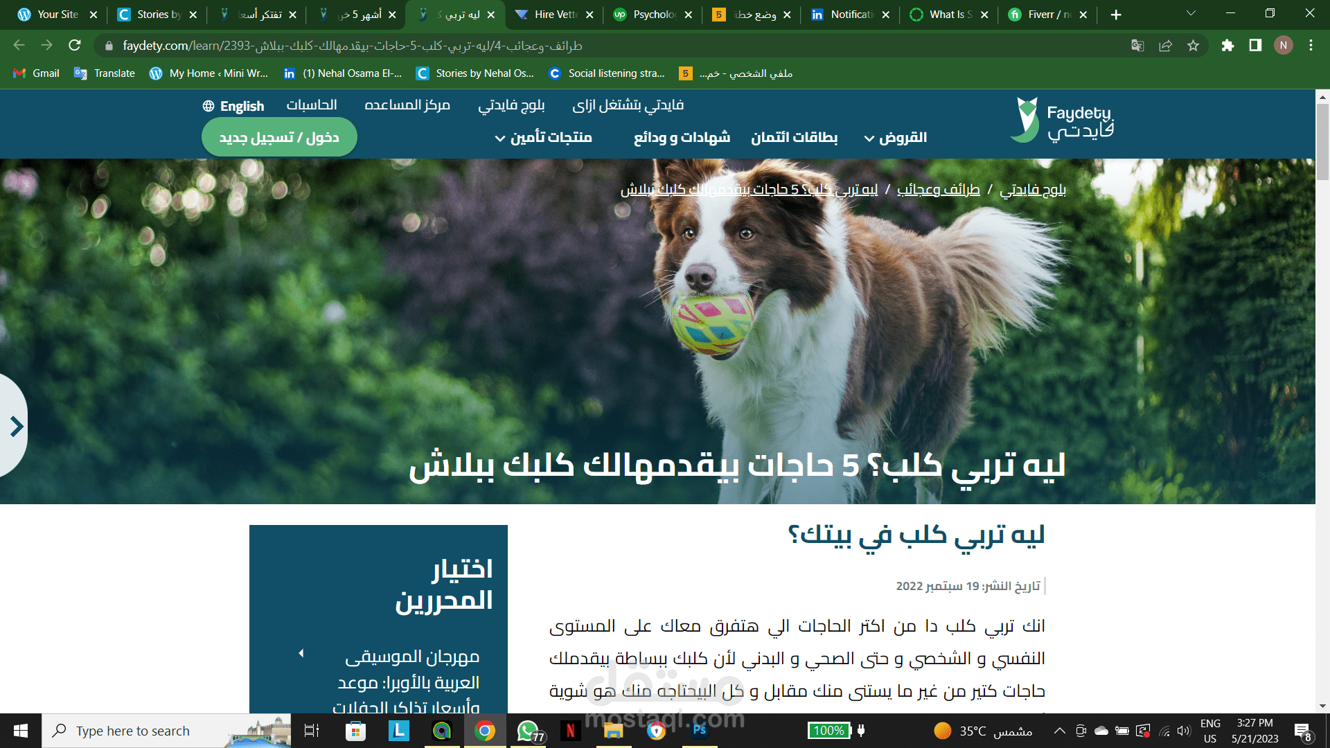 كتابة مقال تفاعلي بمعايير ال SEO
