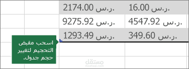 ادخال بيانات باستخدام Excel