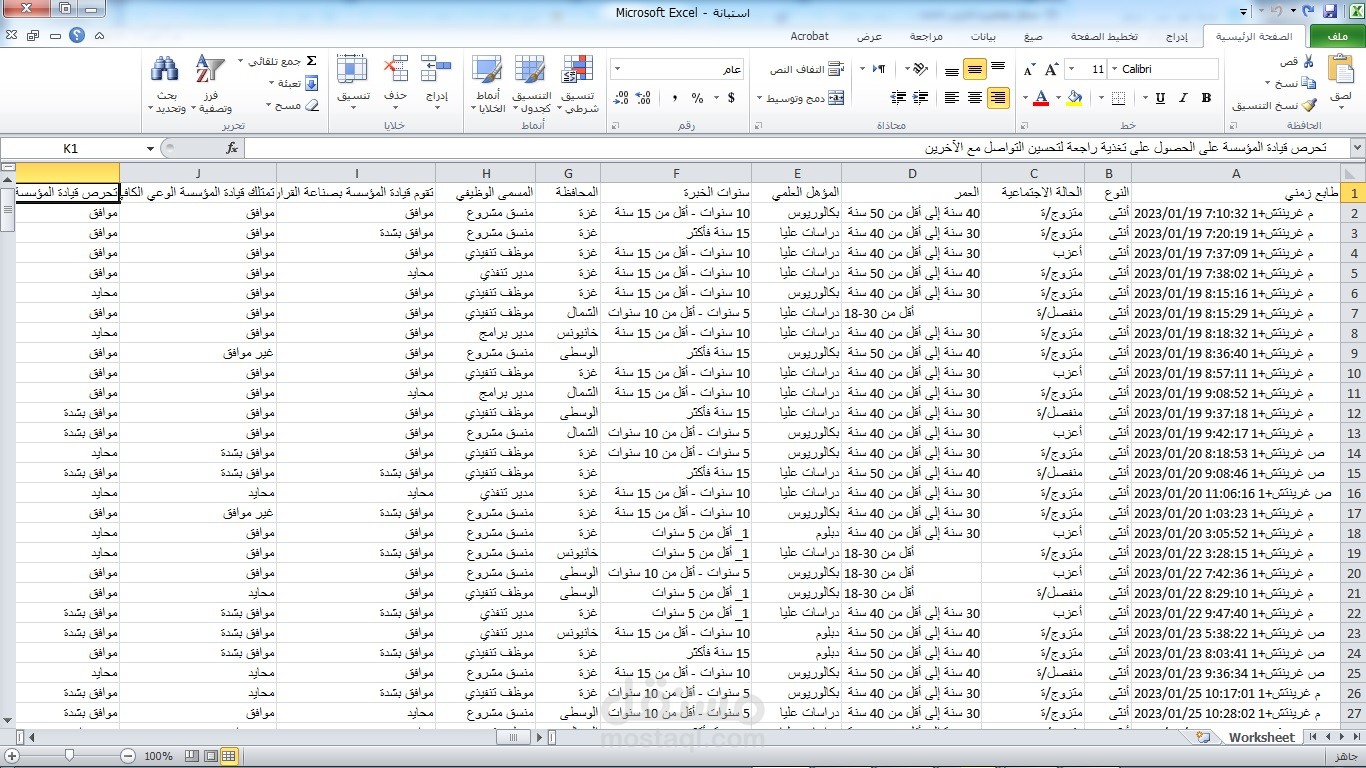إدخال بيانات على إكسل بتنسيقات حسب الطلب وإحترافية