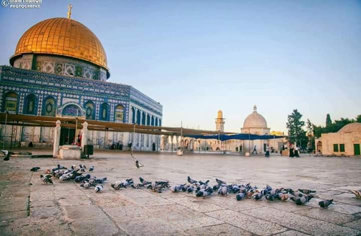 بحث عن مدينة القدس.