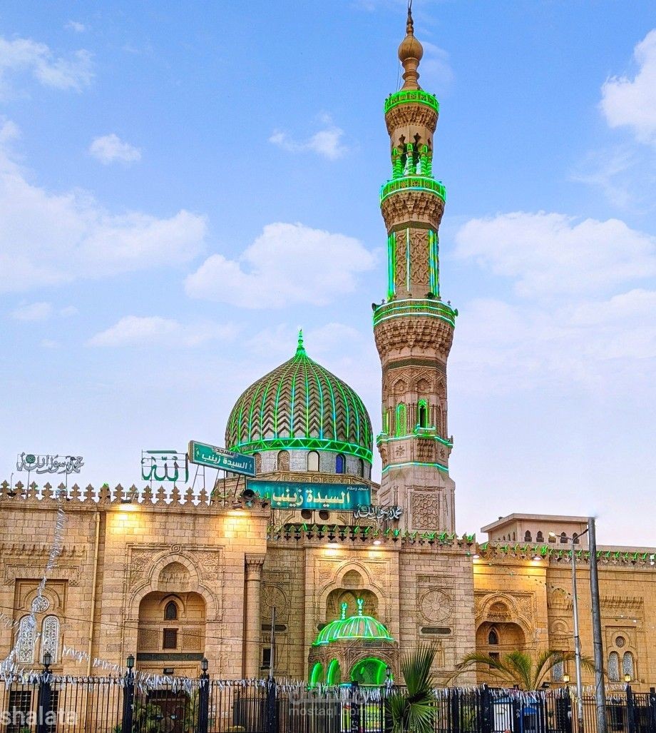 مقال عن السيدة زينب رضى الله عنها وأضاها