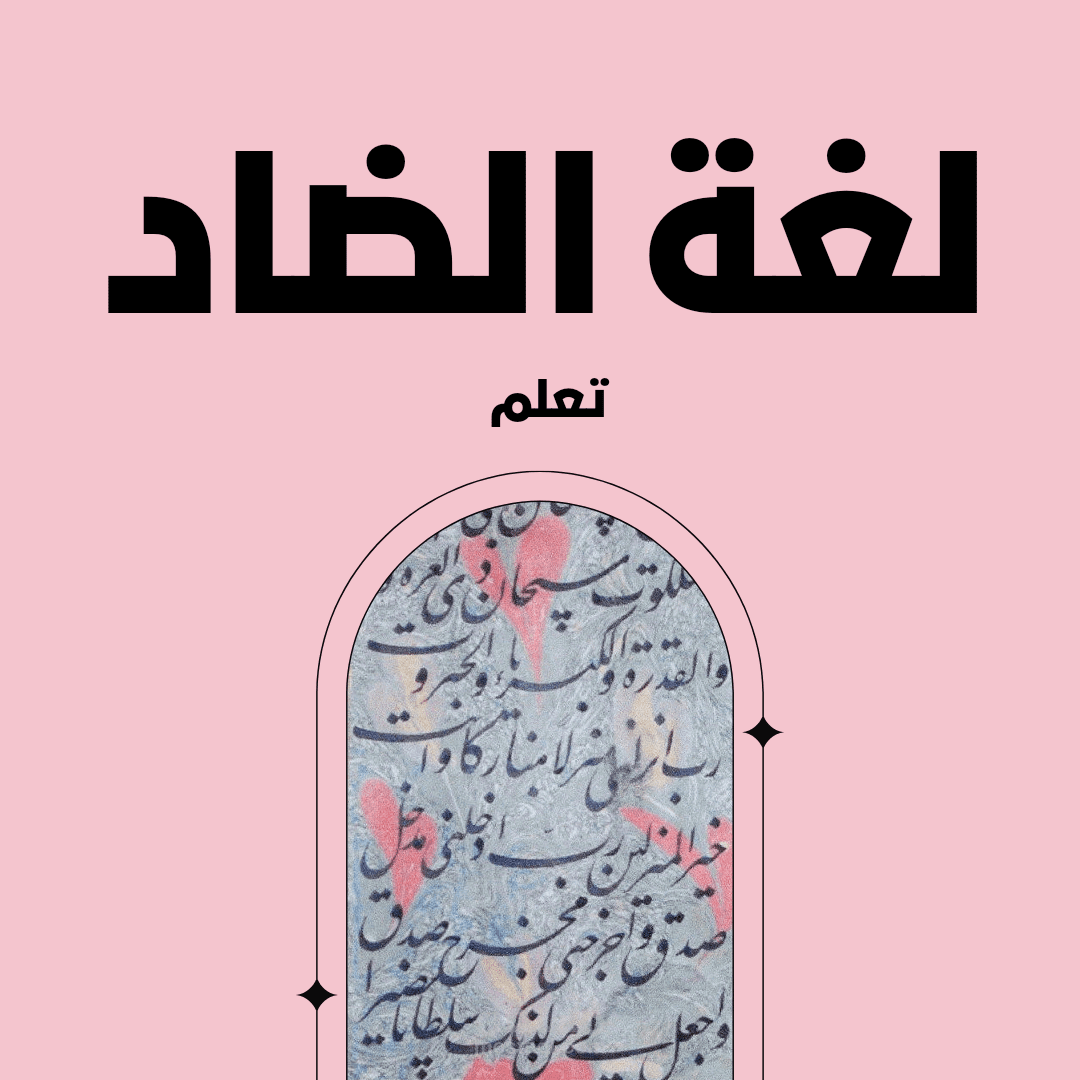 تأسيس لغة عربية صف اول ثاني روضة