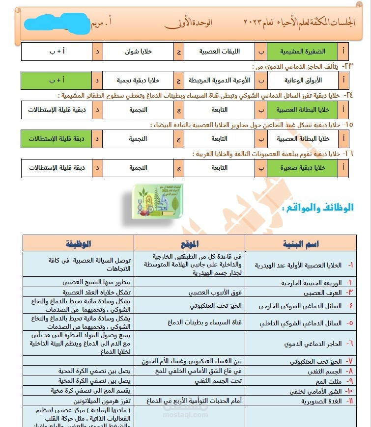 كتابة وتنسيق كتاب مدرسي