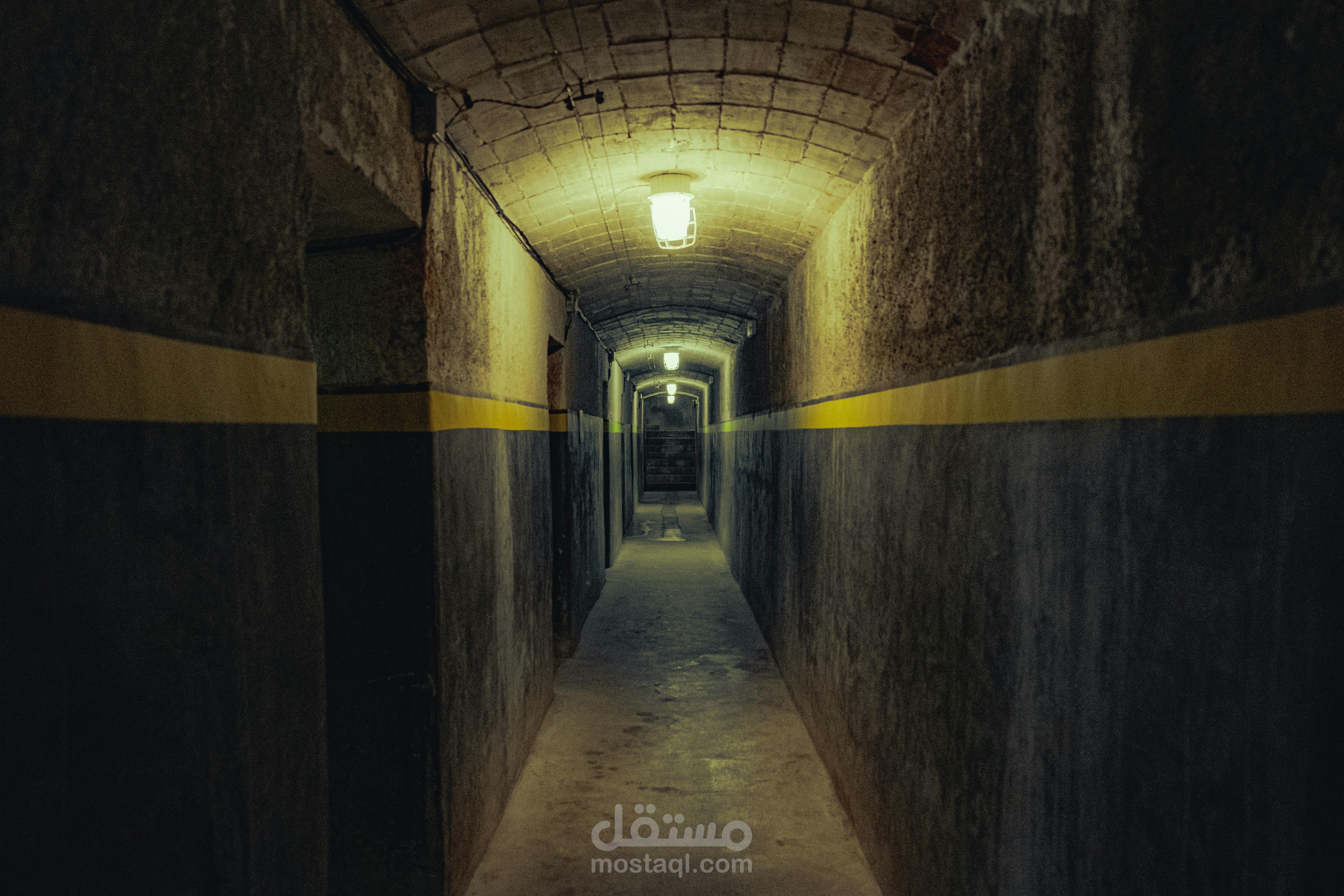 تلخيص المقالات النفسية