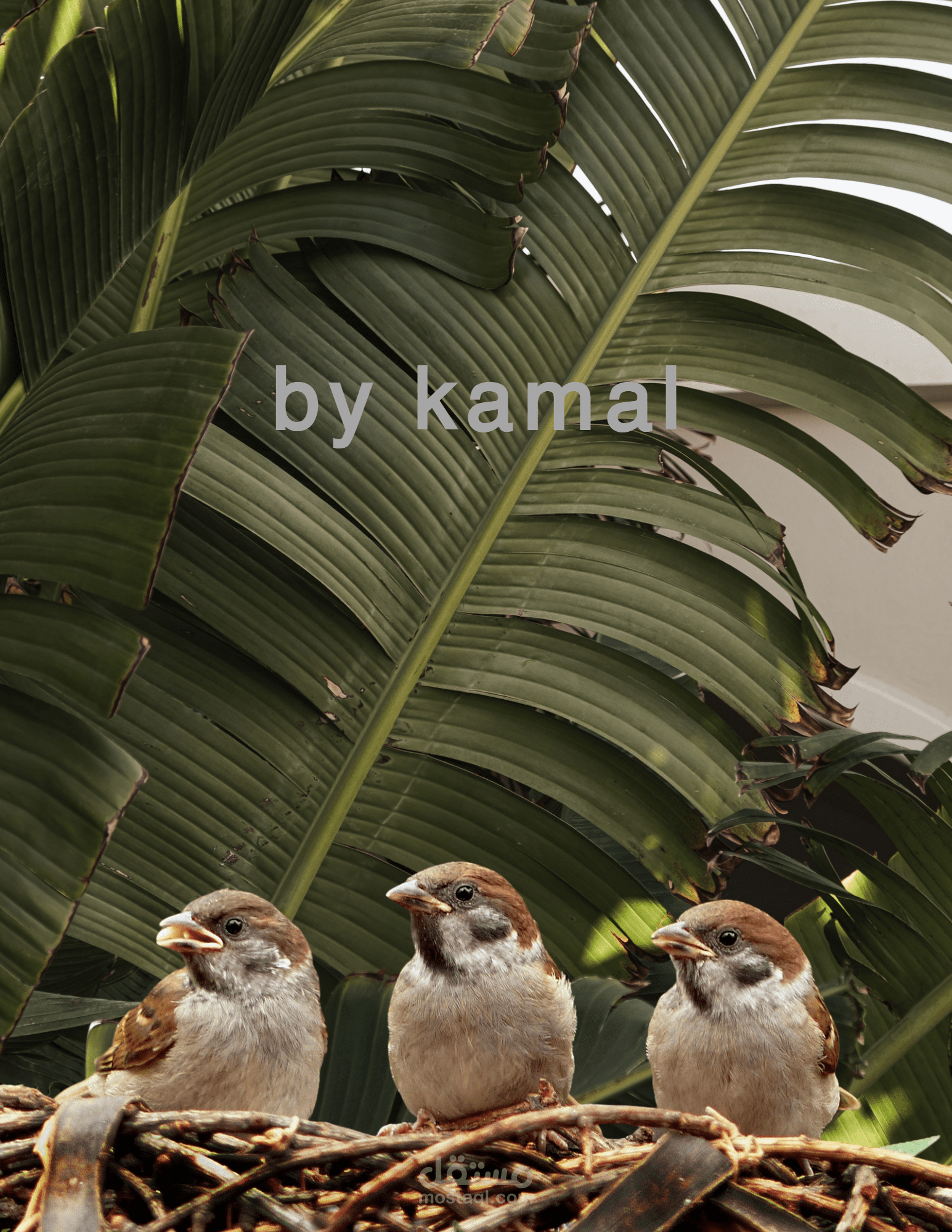 غلاف مجلة لاحدى