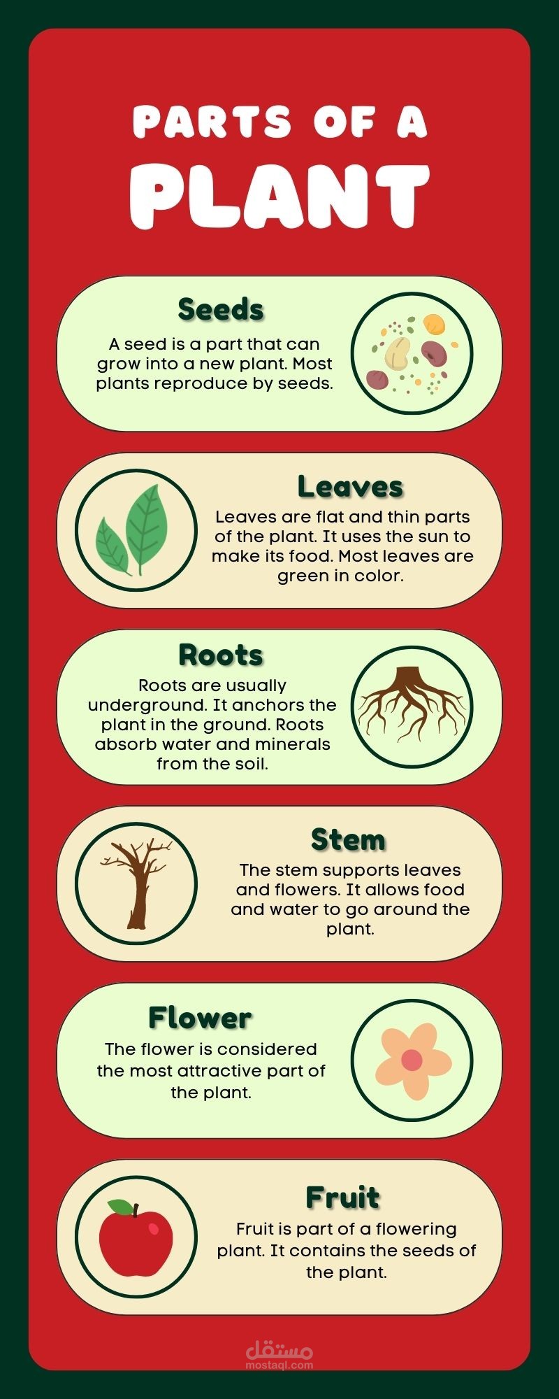 تصميم اشكال انفوجرافيك بشكل احترافي