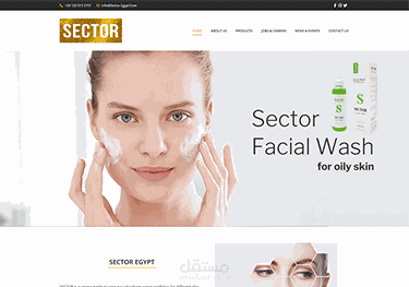 تصميم موقع لـ شركة Sector Egypt