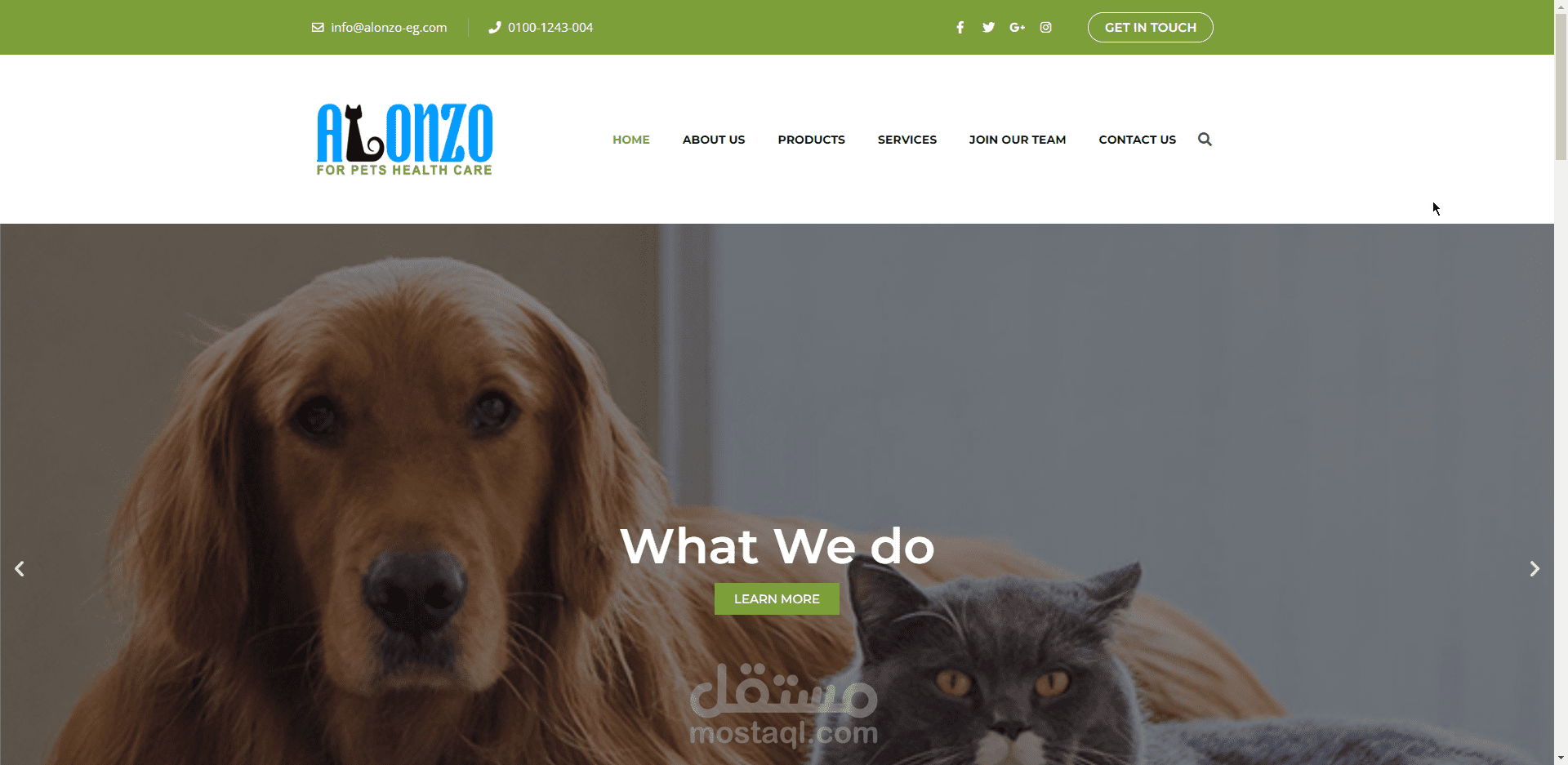 تصميم موقع لشركة الونزو للأدوية البيطرية